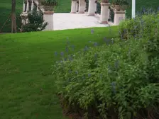 下叠装修别墅,诚心出售啦。上客上客