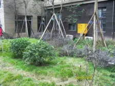 祈年悦城 1室1厅 东南