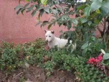 大学城精装两房,视野好无遮挡,业主安心卖