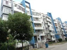 惠南·兴东佳苑·3室·2厅