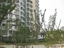 纯毛坯 次新小区 中间楼层 看房提前约