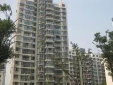 业主自住 保养好 领包入住 诚心出售