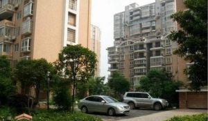 板楼结构,一梯两户,门口就是泰禹本部、中雅培粹