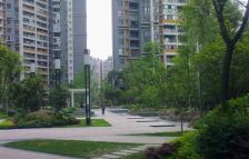 天府长城柏南郡 3室2厅 东南