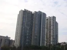 湖景房 高层次顶楼 户型正气 采光刺眼 帝王视角