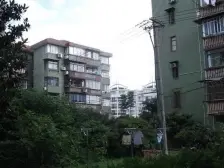 金桥·金桥新村一街坊·3室·1厅