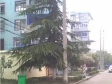 金桥·金桥新村一街坊·3室·1厅