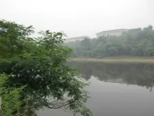 回兴 银鑫莲花半岛三房