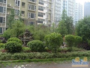 正雨花亭地铁1/4号双地铁口,简装一居室,拎包入住,