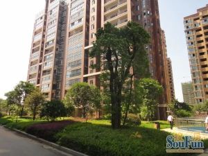 省政府正地铁口,青园梓枫中雅培粹,