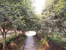 孙家岩公交站旁 精装两房公园式小区住家安静