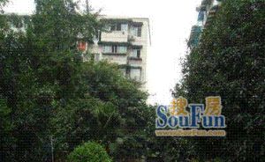 德坤恬园3室2厅东南