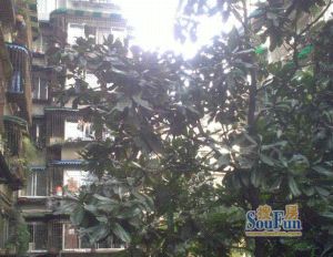 圃园路6号院2室2厅南