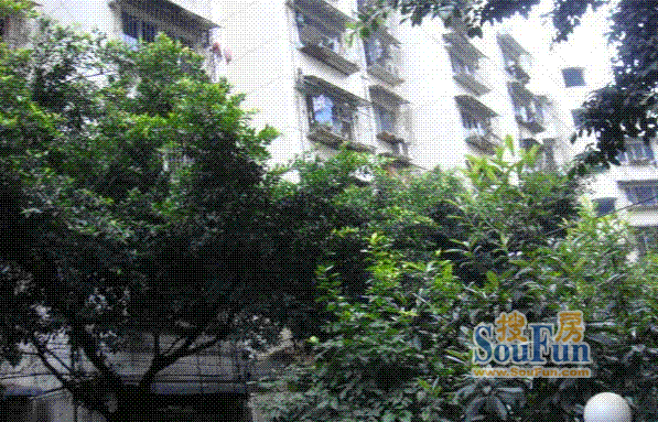 圃园路6号院
