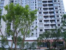 汽博+门口即公交+明厨明卫+三面采光