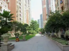 全明户型,采光无忧,版式结构,业主诚售,看江