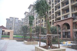 新都国际广场一期 4室2厅 南