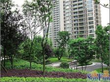 重庆天地,万科品质精装两房,全新为住人,视野开阔