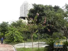 金象左右精装一室一厅,朝向安静,看房方便