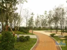 协信云栖谷 2室1厅 南