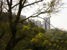 渝中区 精装轻轨两房 有~~ 看房找小杨