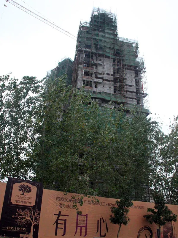 九仰梧桐公寓