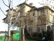 上河郡 联排别墅 毛坯随意装修 大花园 带车位