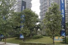 融创四海逸家 5室2厅 西南