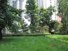 视野开阔 家具家电齐全 正规大一室一厅 诚心出售