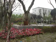 正规一室一厅,朝中庭视野好安静,小区出门即公交站