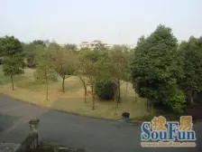 茶园新区 长青湖五房400万