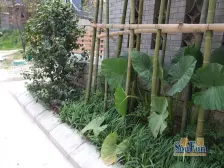 岔路口轻轨站旁 顶跃 配套完善,出行方便