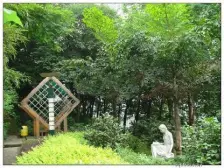 高新区 盛吉汽配城一房