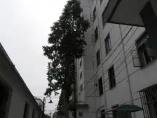 带城振华 成熟小区 精装修 拎包入住 一楼带花园