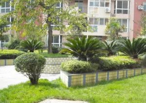 香江花园 2室2厅 南