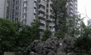 领馆逸品 2室2厅 南