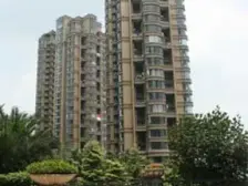 天玺四房,首次出租,正看保利高尔夫别墅,视野开阔