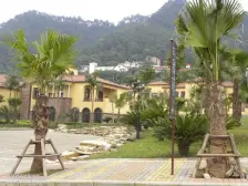 此房为精装两房采光通风效果好 拎包入住