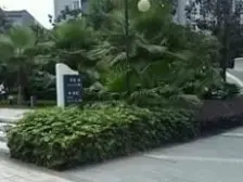 汽博中心 新科国际广场一房55万