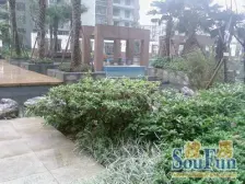 体育公园旁 板式结构 通透采光好 住家装修