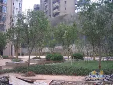 谢家湾 丽水菁苑三房144万