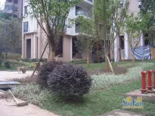 看江 看江 一线看江~大户型 适合一家人