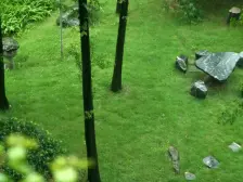 丽水菁苑 4室2厅 东南