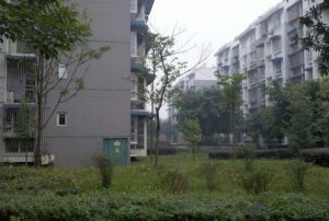 新桥丽景A区1室1厅南