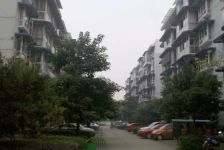 新桥丽景A区3室2厅南