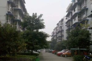 新桥丽景A区3室2厅南