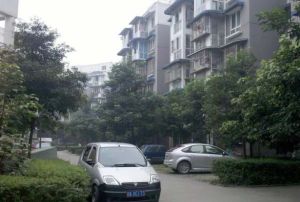新桥丽景A区1室1厅东
