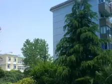 新出!院子30平+无违建 看房随时 产权清晰 房东诚意出售!