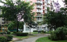 钢管厂五区 3室1厅 东南 西南