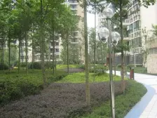 安信家园二期 2室1厅 东